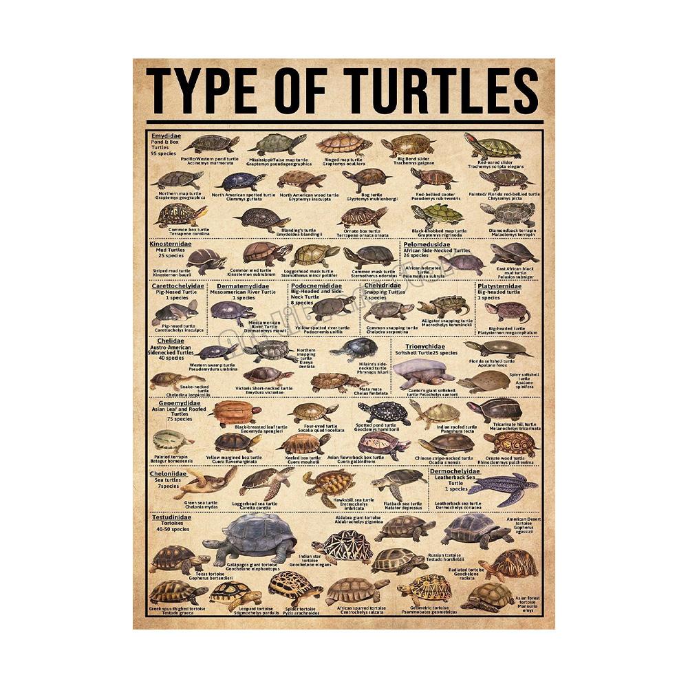 Retro Types of Dragon,Sharks,Octopus,Dinosaur Animals Knowledge Poster Canvas Painting Wall Art Pictures Home School Decor