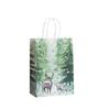 Eco-Friendly Kraft Paper Gift Bag With Floral Print Handheld Christmas Wedding Favors