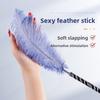 SM Sex Products Ostrich Hairy Feather Hair Stick Couple Couple Flirting Interactive Props Adult Sex Toys