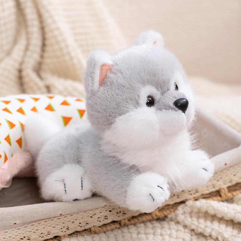Authentic Harry Little Fox & Raccoon Puppy Plush Series: High-Quality Plush Dolls 20 cm