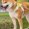 Adjustable Dog Chest Strap Multi-color Pet Walking Vest Dog Harness and Leash Set  Outdoor Walking