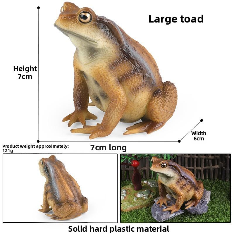 Animal Childrens Frog Plastic Model Toy For Educational Play Gift Collectors