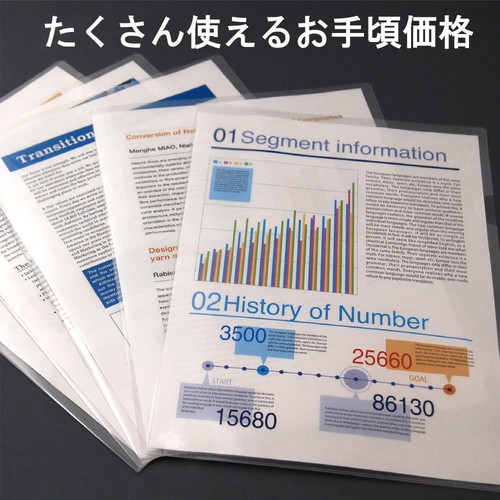 King Jim 737SP-100 Simpleys Clear Holder, A4, Vert