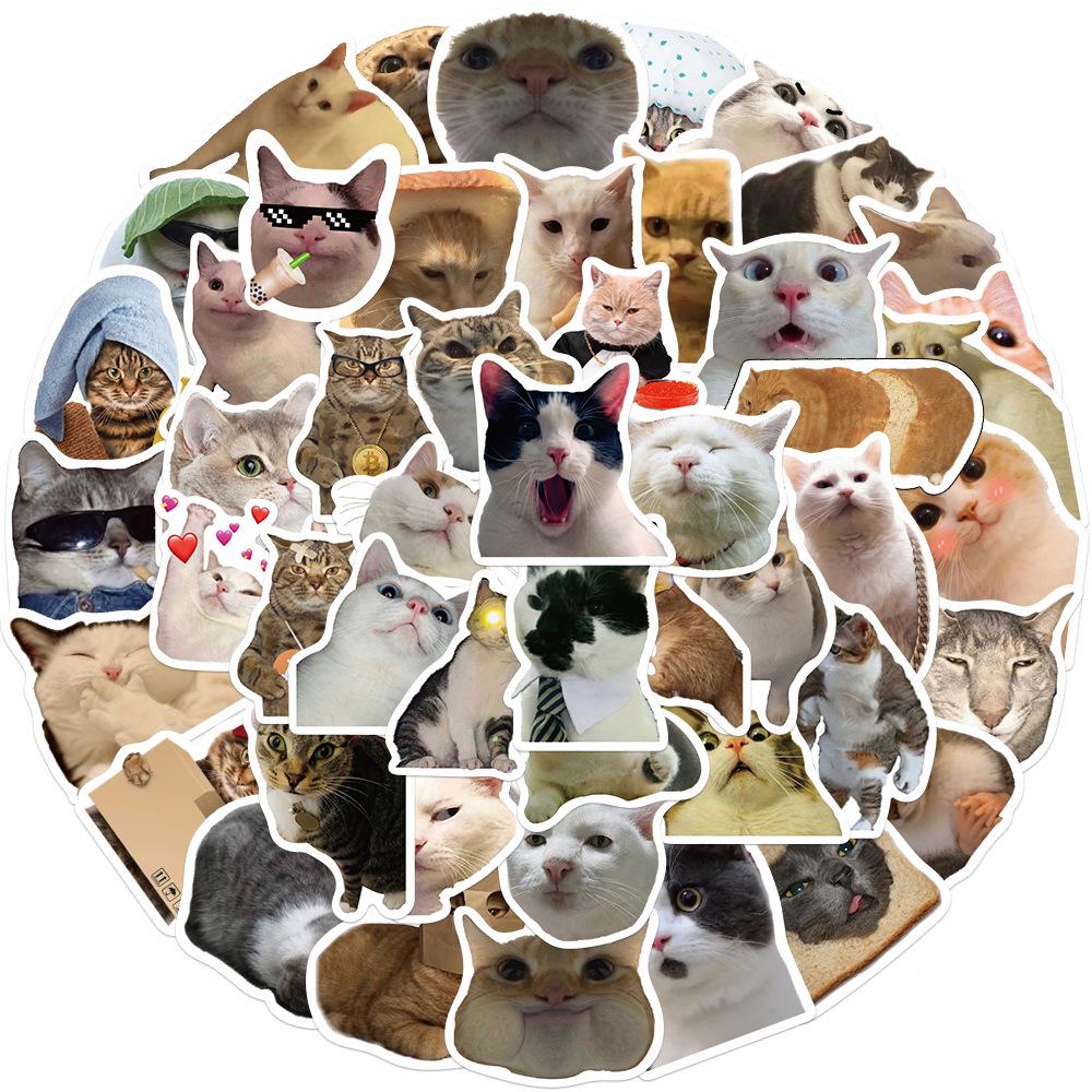 50 Internet Celebrity Cat Emoji Stickers: Waterproof, Perfect for Suitcases, Notebooks, Guitars, and More!