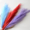 Phragmites Australis Colorful Feather Flower Wall Decor For Design Party