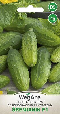 Pepino moído Śremianin F1 4g sementes vegetais -