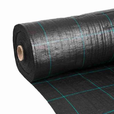 Professionelles Unkrautvlies 2,10x100m, Geotextilvlies 100g/m², Unkrautschutz