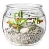 Modern Round Fish Bowl PET Plastic Perfect As Desktop Or Table Decoration For Kids And Adults