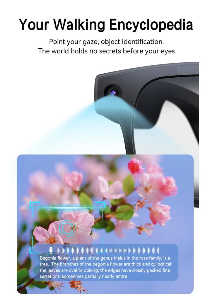 Smart AI Glasses: New Model with 8MP Camera, Anti-Shake Video, AI Translation, Music, Bluetooth