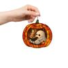 2d Flat Decorative Light Catcher Window Pendant Gift, Interesting Home Decoration Lighting Pendant