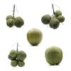 Fruit Ornament Artificial  Fake Simulated  Farmhouse Decorations