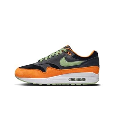 Air Max 1 PRM Duck Anthracite