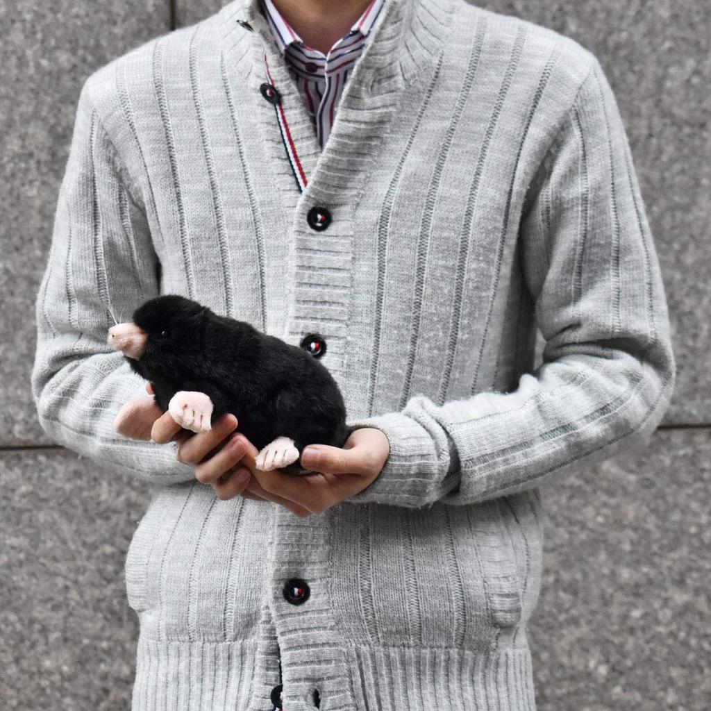 BH3072 HANSA Mole 23