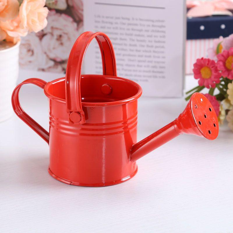 Flower Kettle Mini Water Spraying Metal Pot Watering Bottle Home Garden Decor