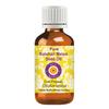 Olio di Semi di Melone del Kalahari Puro Deve Herbes (Citrullus lanatus) | Estratto a Freddo | Naturale | Puro | Per Diluire Oli Essenziali | Per Capelli, Pelle