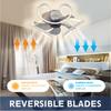 IRALAN Modern Ceiling Fan with Light Home and Decoration Smart Remote Control 50CM LED Large Home Fan