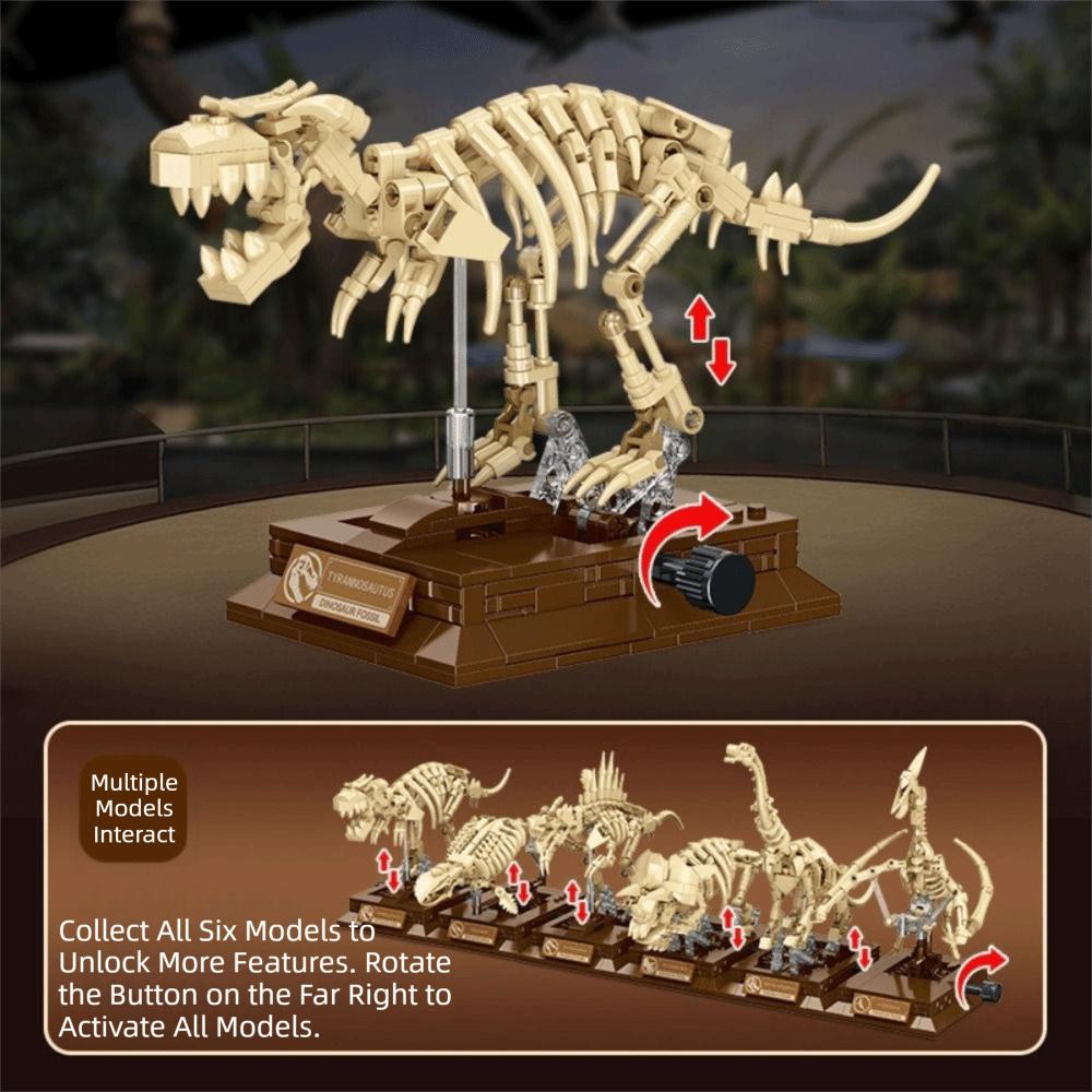 Bâtiment Squelette Tyrannosaure Rex Jouet Éducatif Ensemble de Blocs de Construction Affichage Fossile