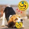 Cães – Brinquedos para cães