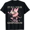 It Is I Your Fairy Godpossum Funny Opossum Spirit Animal Unisex T-Shirt