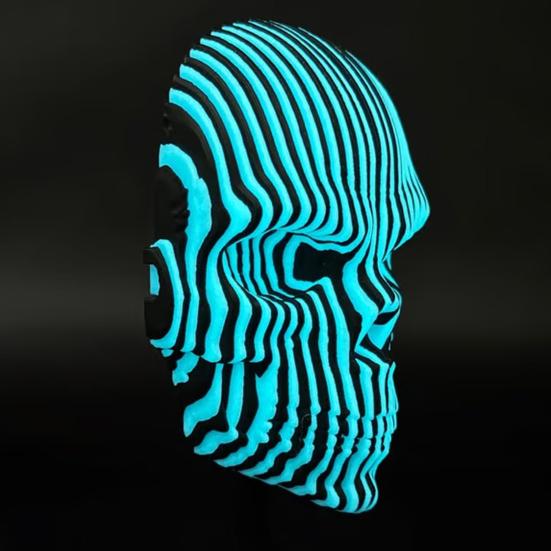 Quantums Skull Wall Decoration Home Office Living Room Bathroom Wall Art Spooky 3D Printed Skull Sculpture Figurine Statue Wall Ornament