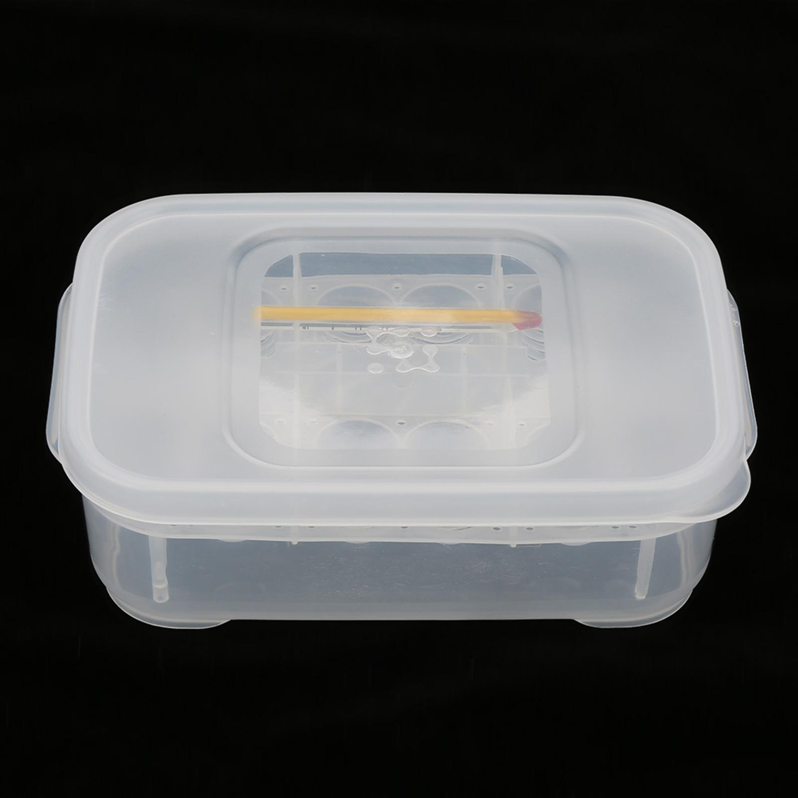 

12 сеток, змей, гекконов, ящериц, рептилий, яиц, инкубатор, лоток, инкубационная коробка с термометром