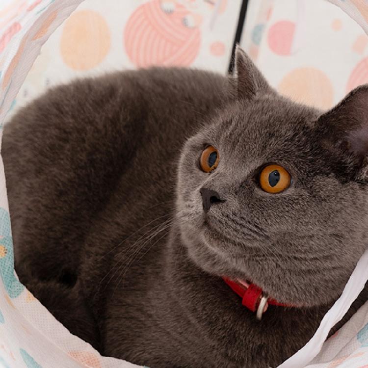 Katzen Spielzeug Tunnel Röhre Zusammenklappbares Zelt Versteck Haus Plüschball für Kaninchen