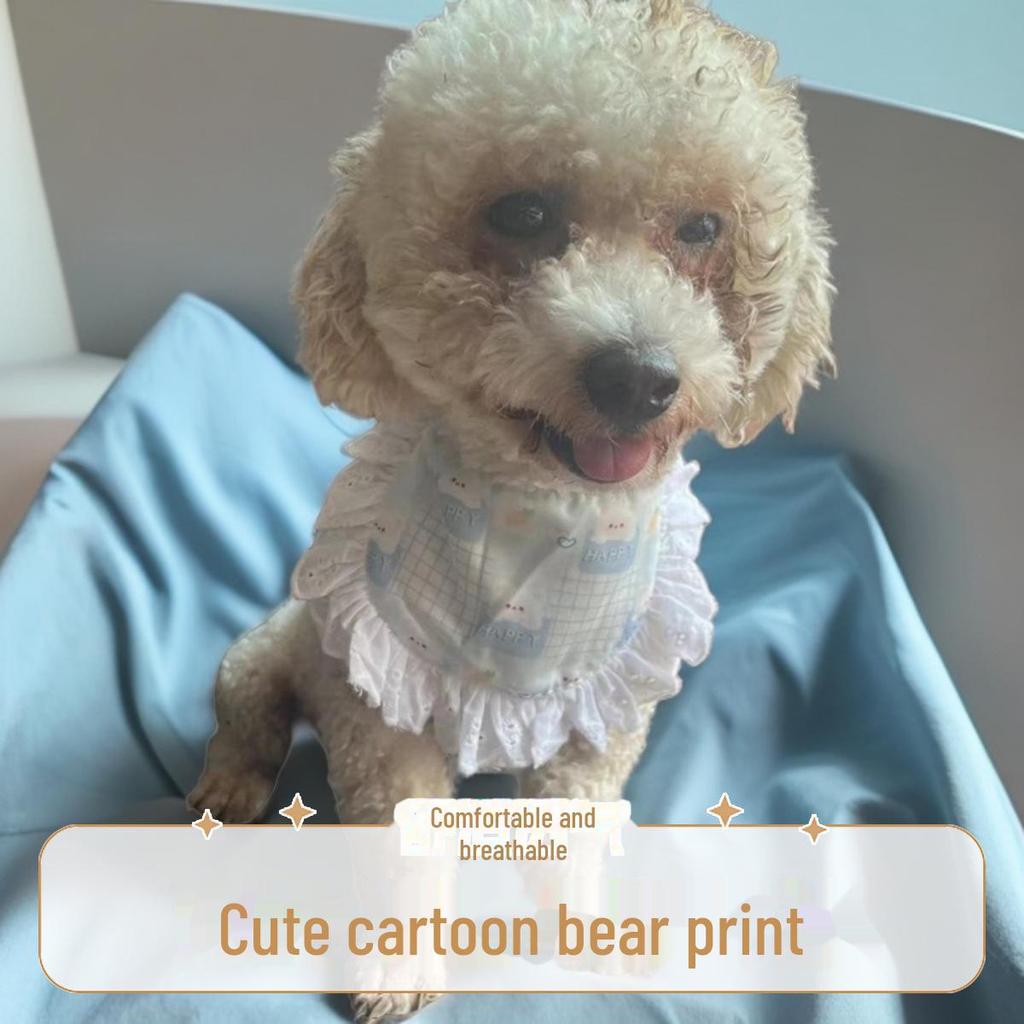 Cartoon Print Pet Bib for Cats and Dogs (Bichon, Teddy)