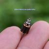 Electric Motor 6-pole Rotor Mini Micro 8mm Square DC 3V 5V 6V Durable Motor for Student Learning DIY Tools