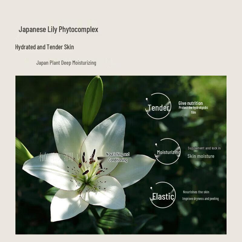 Qianxiang Lily Amino Acid Shower Gel