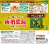 Dentifrice médicinal Fresh Leaf EX pour prévenir la pyorrhée, saveur herbes japonaises et chinoises, 100 g (Shoyou EX) [Quasi-drogue]