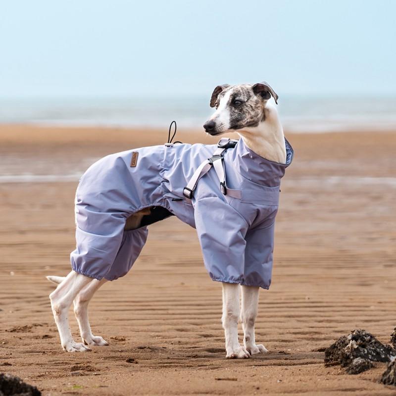 Waterproof Dog Raincoat Large Breeds Golden Retriever Border Collie Outdoor Walk In Rain 4-Leg Design