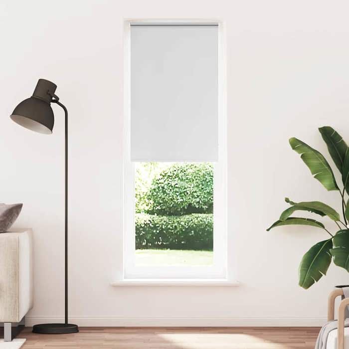 VidaXL Blackout Roller Blind Fabric Width 70.7 Cm Polyester, Day and Night Blind, Kitchen Blind, Blind 4011981