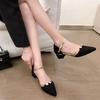 Large Pointed Thick Heels Women's Shoes 2025 New Headed High Heels Buckle Strap Design with Skirt Sexy Sandals
