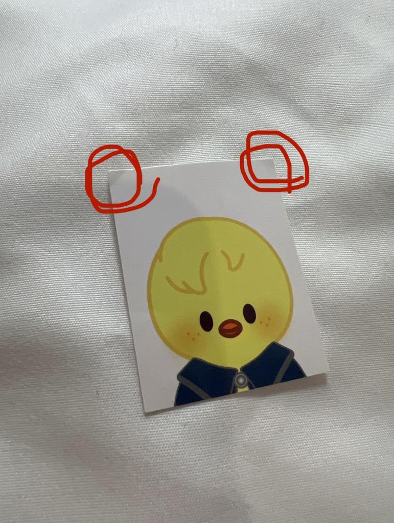 [USED] StrayKids SKZOO Felix Pogari ID Photo Holder