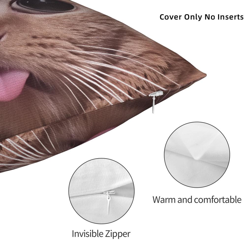 Katzen-Memes Lustiger Meme-Druck Kissenbezug Weicher Kissenbezug für Sofa Auto Heimdekoration Modischer Kissenbezug
