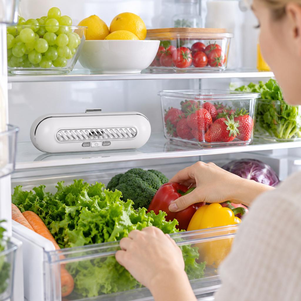 Rechargeable Refrigerator and Negative Purifier
