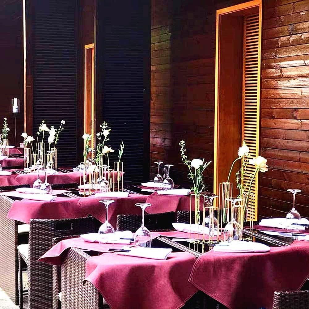 Glass Vase with Metal Stand Racks Hydroponic Test Tube Vase Set of 5,