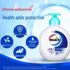 Walch Healthy Antibacterial Hand Wash