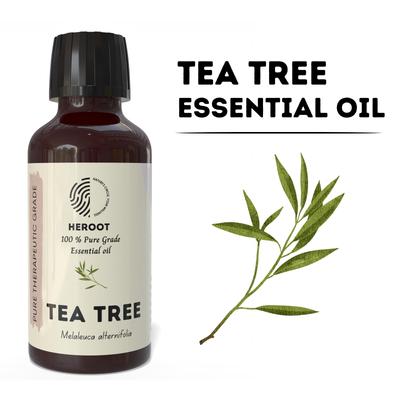Tea Tree Essential Oil – Pure Oil, Fresh Herbal Camphor Aroma, Natural Scent