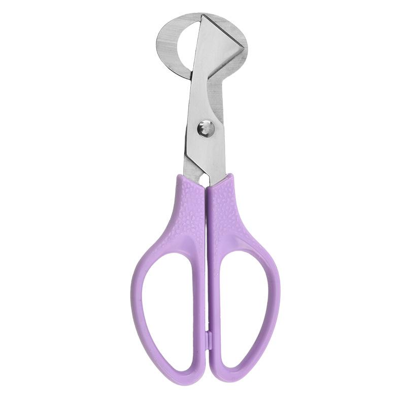 Multipurpose Stainless Scissors for Home Kitchen Use, Utility Shears for Fabric