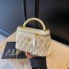 Niche Design Women's Versatile Luxury Shoulder & Crossbody Chain Bag (2025 Edition)