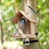Păsări – Veselă pentru hrănirea păsărilor