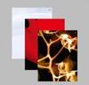 Děti Pálím Květiny Veřejné Album Set Použitý