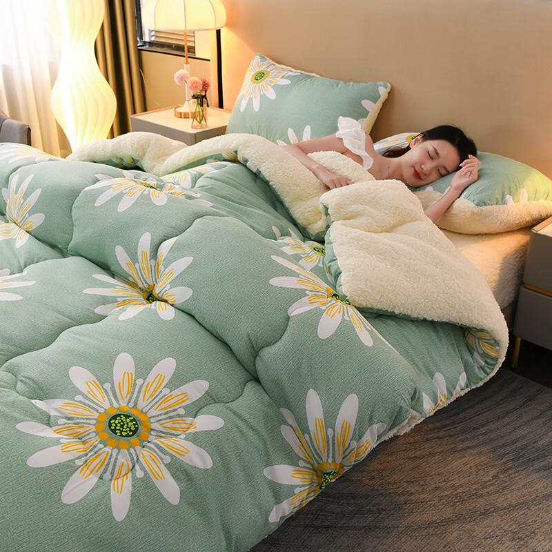 Oeny Winter Lamb Fleece Quilt Duvet Insert