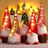 Kawaii Led Glowing Christmas Doll Cartoon Handmade Christmas Gnome  Halloween