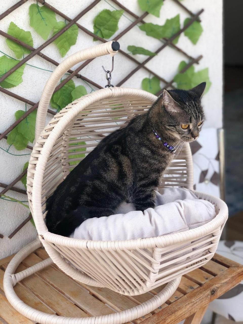 

Cat Swing & Cat Bed Cream