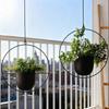 European Wrought Iron Hanging Hydroponic Planter for Spider Plants