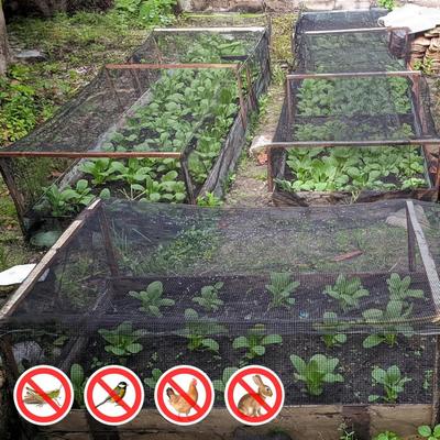 Garden Mesh Netting Breathable Bird Net Barrier Mosquito Insects Proof Netting Screen for Plants Vegetables Patios Balconies Terrace