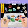 Archaeological Dig Diy Kit Gemstones Fossils For Kids Educational Play Treasure