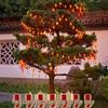 Iluminação – Luzes de Natal e iluminação decorativa
